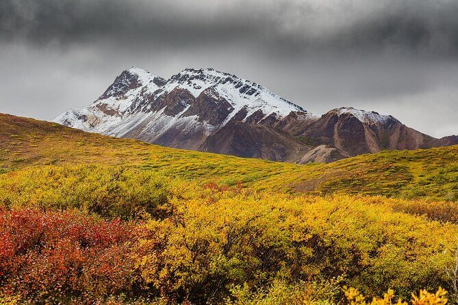 Alaska Fall Colors with Northern Lights 5 Days - An Honest Take on the 5-Day Alaska Tour