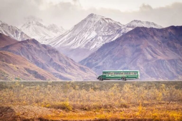 Alaska: Kenai Fjords & Denali National Park 5 Day Adventure - What’s Included and What’s Not