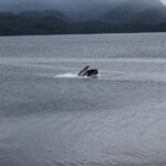 Alaska Native Cultural and Wildlife Adventure - Practical Details and Considerations