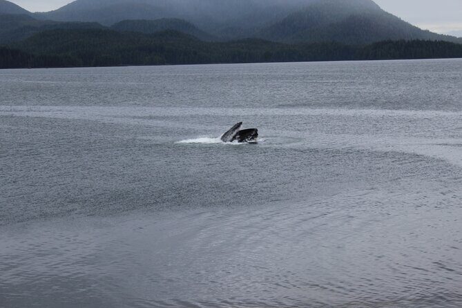 Alaska Native Cultural and Wildlife Adventure - Practical Details and Considerations