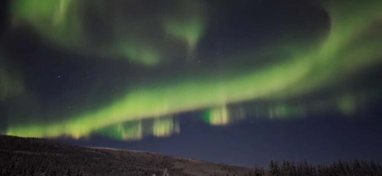 Alaska: Private Northern Lights Viewing Tour - What To Expect on Your Aurora Chase