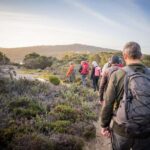 Albany: Lighting the Sound Twilight Hike - Gourmet Snacks and Evening Comfort