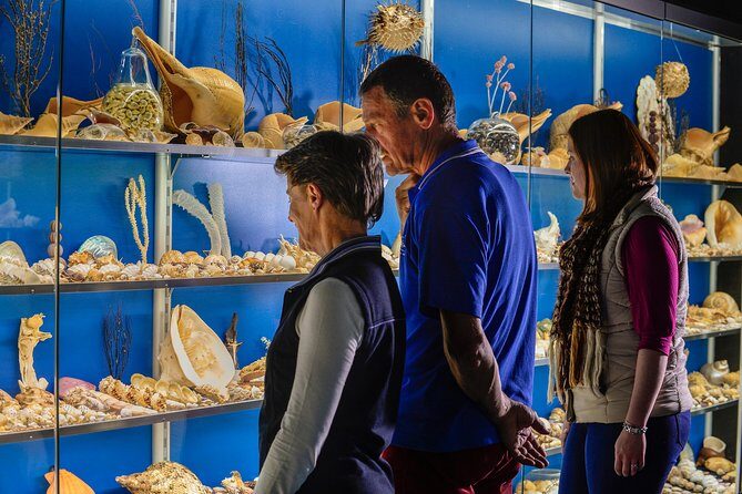 Albany's Historic Whaling Station Admission Ticket - Is It Worth the Price?