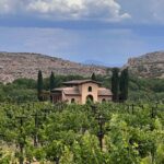 Alcantara Estate Vineyards Tasting Experience - Who Should Consider This Tour?