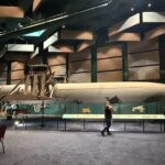 Alexander Graham Bell Museum Tour - What the Reviews Say