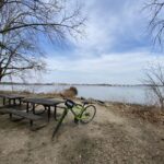 Alexandria: Full-Day Bike Tour to Mt Vernon w/ Optional Boat - Price and Value
