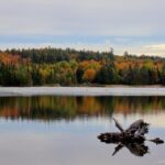 Algonquin Provincial Park Full Day Trip - The Authentic Experience: What Travelers Are Saying