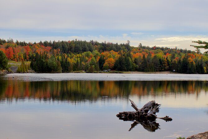 Algonquin Provincial Park Full Day Trip - The Authentic Experience: What Travelers Are Saying