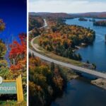 Algonquin Shuttle from Toronto - Value for Money