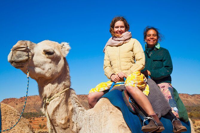Alice Springs Camel Tour - Who Should Consider This Tour?