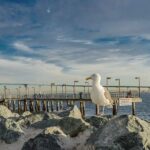 All Day San Diego Scenic Tour - Who Should Consider This Tour?