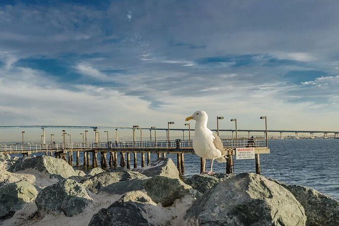 All Day San Diego Scenic Tour - Who Should Consider This Tour?