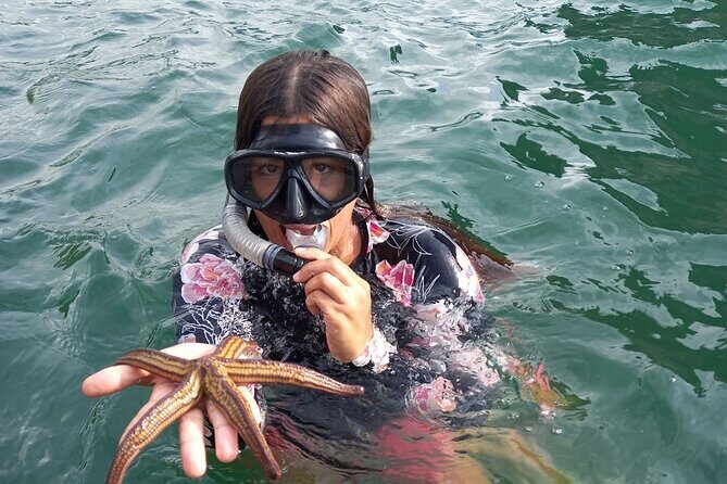 All-inclusive Colomitos cruise and Animas beach snorkeling - What Do Travelers Say?