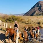 All-Inclusive Horseback Riding on the Beach in Mexico - Key Points