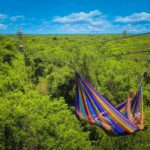 All-terrain, ZipLine Circuit and Cave Snorkel from Cancun - Final Thoughts: Is This Tour Right for You?