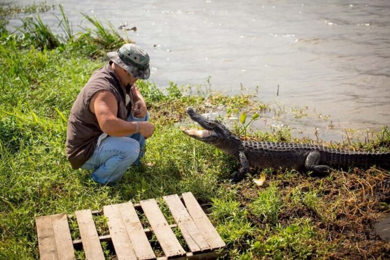 Alligator Swamp Tour by Gray Line New Orleans - Who Will Enjoy This Tour?