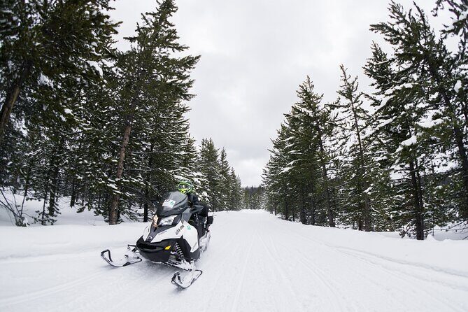 Alpine Self Guided Snowmobile Rentals - Who Should Consider This Experience?