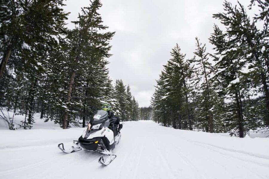 Alpine: Snowmobile Rental with Gear and Trailer - Real User Insights and Practical Tips