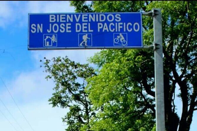 Amazing experience in the mountain of San Jose del Pacifico - Breaking Down the Itinerary