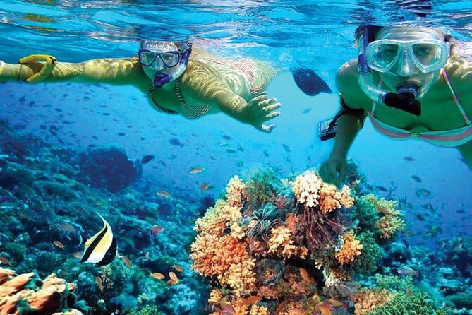 Amazing Isla Mujeres Tour with snorkeling, lunch and Open Bar - The Itinerary: What You Can Expect