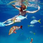Amazing snorkeling full-day tour to Cozumel Cielo Starfish Reef - The Value for Your Buck
