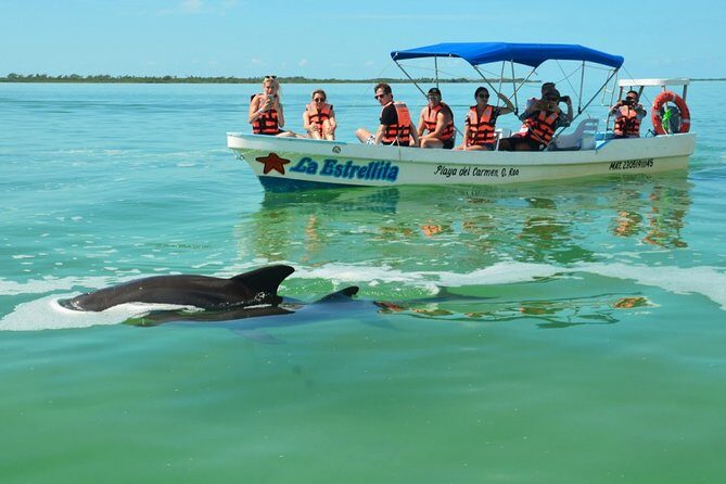 Amazing tour to Sian Kaan Biosphere Reserve. Perfect tour for nature lovers - Who Is This Tour Best For?
