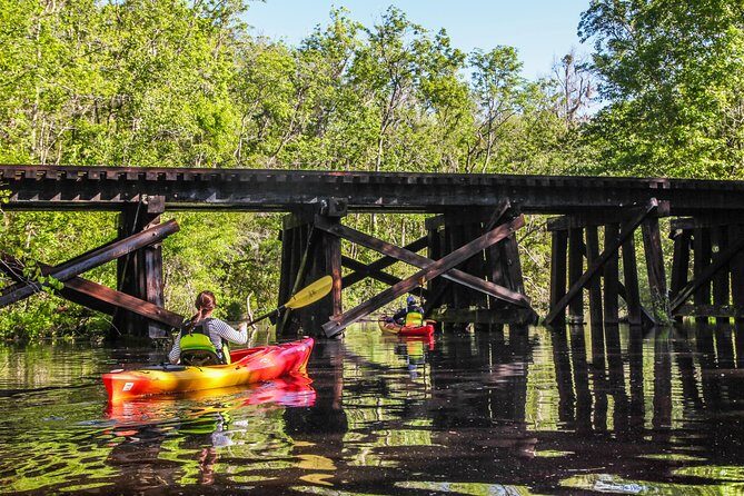 Amelia Island Guided Kayak Tour of Lofton Creek - What the Reviews Say