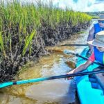 Amelia Island Kayak and Paddleboard Rentals Talbot State Park - Authentic Reviews and Their Insights