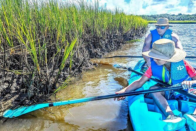 Amelia Island Kayak and Paddleboard Rentals Talbot State Park - Authentic Reviews and Their Insights