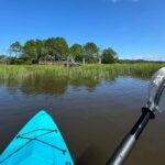 Amelia Island: Paddle Board or Kayak Rental - PADL Island - Why This Tour Stands Out