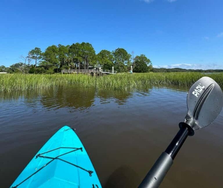 Amelia Island: Paddle Board or Kayak Rental - PADL Island - Why This Tour Stands Out