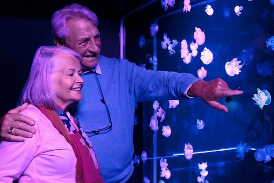 American Dream: SEA LIFE® Aquarium Entry Ticket - What Travelers Are Saying