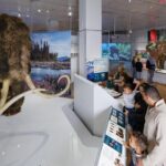 American Museum of Natural History Admission Ticket - Navigating the Museum: Tips and Tricks