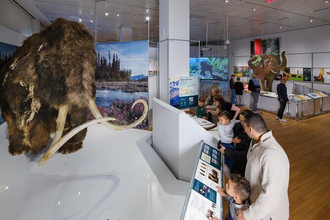 American Museum of Natural History Admission Ticket - Navigating the Museum: Tips and Tricks