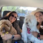 An Evening in Old Town - Who’s This Tour Best For?