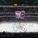 Anaheim Ducks Ice Hockey Game at Honda Center - Is this tour right for you?
