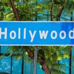 Anaheim Resort: Private Transfers To or From Hollywood, CA. - Who Is This Service Best For?