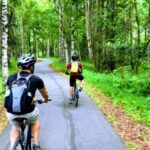 Anchorage: Coastal Trail 3-Hour City Bike Tour - What to Expect on Your Ride
