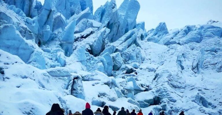 Anchorage: Full-Day Matanuska Glacier Hike and Tour - The Real Deal from Travelers