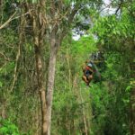 Ancient adventure, visit Tulum Ruins with ZIPLINES, a UNDERGROUND CENOTE &Buffet - The Experience Through Real Travelers’ Eyes