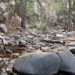Angeles Forest Waterfall Hiking Tour - What Travelers Say