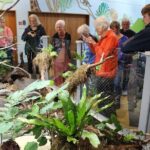 Animals of Aotearoa Wellington Zoo Tour - Who This Tour Is Best For