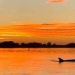 Anna Maria Island and Bradenton: Sunset Kayak Dolphin Tour - The Practical Side