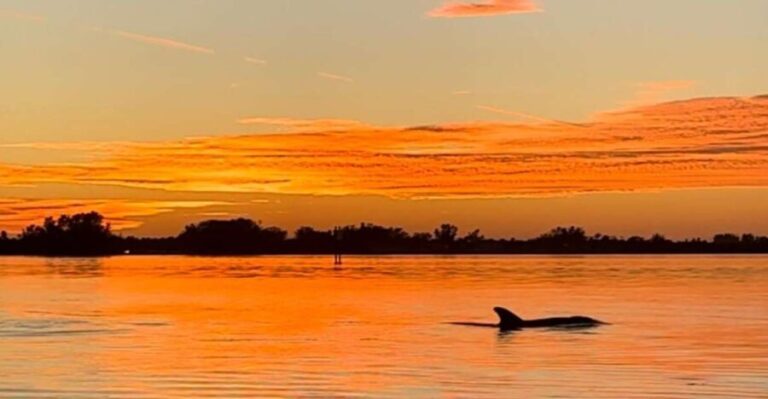 Anna Maria Island and Bradenton: Sunset Kayak Dolphin Tour - The Practical Side