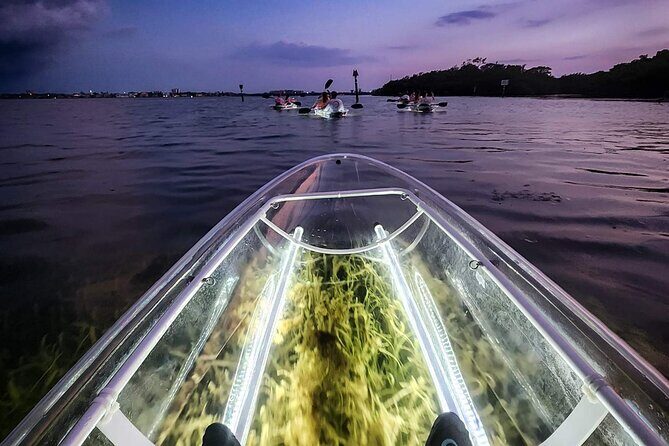 Anna Maria Island - Clear Kayak LED Night Glass Bottom Tour - Considering the Downsides