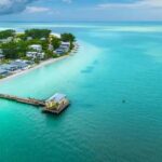 Anna Maria Island: Dolphin Cruise - The Value and Practicalities