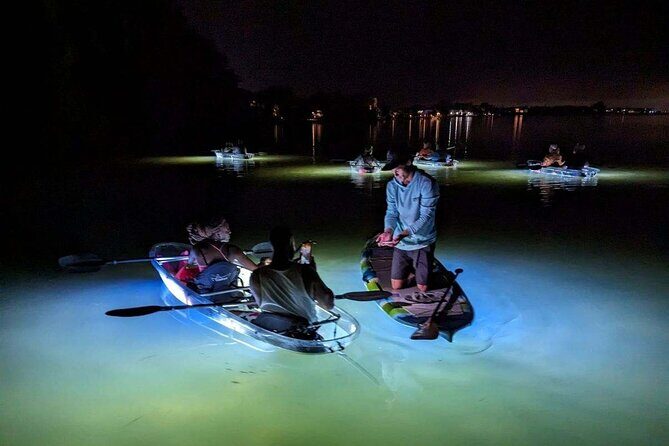 Anna Maria Island Paddleboard Tours - The Practical Side: Logistics & Value