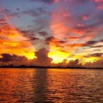 Anna Maria Island: Sunset Dolphin Cruise - The Practical Side: What to Expect