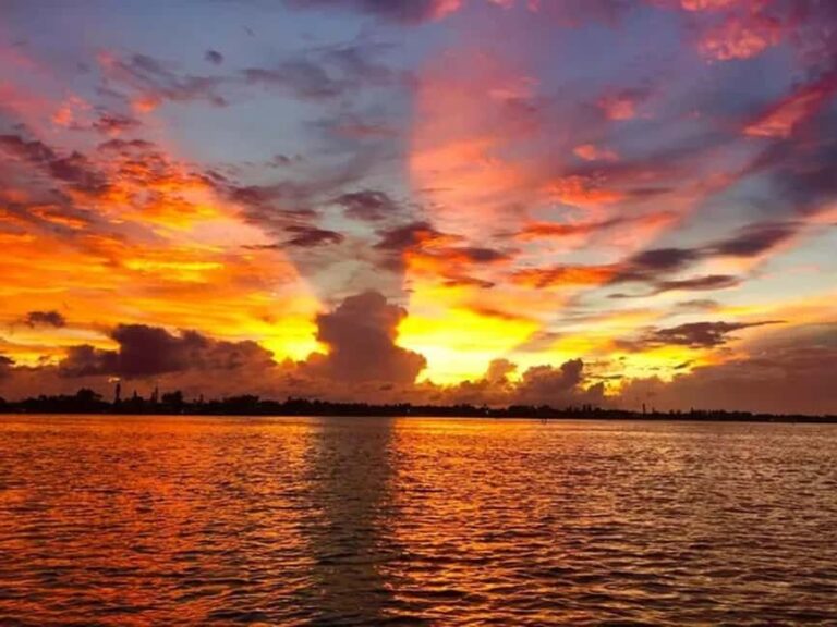 Anna Maria Island: Sunset Dolphin Cruise - The Practical Side: What to Expect