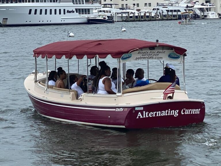 Annapolis: Electric Boat Rental - Duffy Sun Cruiser - 10ppl - Who Should Consider This Experience?